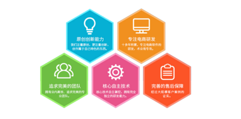 电商网站软件服务 构建高效在线业务的关键