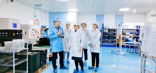 携手共进，共创未来——深圳担保集团莅临云里物里考察指导软件开发工作